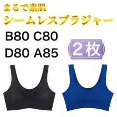 Item thumbnail for item a70a1871-0545-4cff-95f8-09be530d1e56