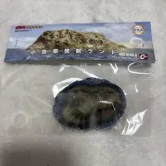 小笠原快獣ランド ゴジラ 特撮大百科 オーナメント
