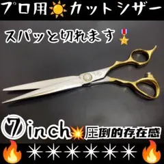 Item thumbnail for item 9770a0b3-511b-4035-96da-da2f72cdcbfd