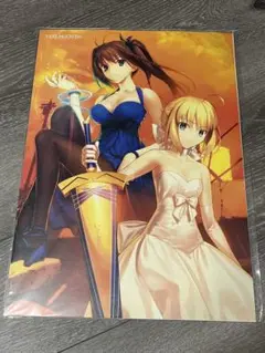 【非売品・未開封】Fate　空の境界　月姫　魔法使いの夜 A3ポスター２枚セット