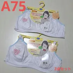 新品 A75 グンゼ ピエクレール ジュニアブラジャー ホワイト 2枚セット 2