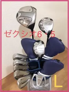 人気❗️⭐️ゼクシオ⭐️XXIOレディースゴルフセット キャロウェイバッグ