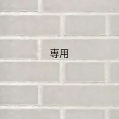 かわいいライオンさんマナーベルト