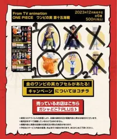 ワンピの実 第十五海戦 4点セット