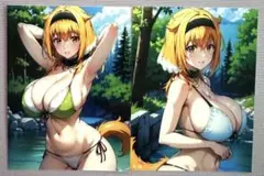JU-299ブロマイド２枚セットNo.1017