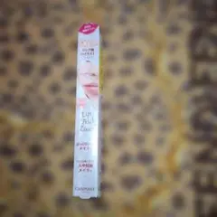 Item thumbnail for item c96f8dd3-b538-4a5d-8c9c-4deb9958e68e