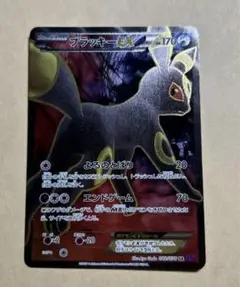 【PSA10連番】ブラッキー EX RR めざめる超王 / ブラッキーV SR 51JHoT-DWTL._UF350,350_QL50_.jpg
