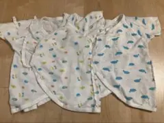 Item thumbnail for item 05956584-3e49-4c8c-86d9-04b2bcd41eec