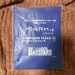 横浜DeNAベイスターズ 応援ポンチョ　【未使用】
