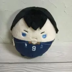 ハイキュー!! 　影山飛雄　ふわコロりん　ぬいぐるみ　匿名配送