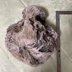 流木 自然な形状 約28ｘ23ｘＨ13ｃｍ
