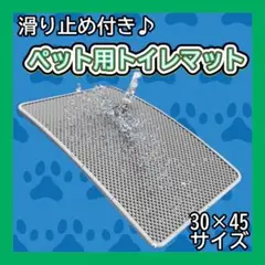 Item thumbnail for item 328fded9-928a-44f3-9fa7-d5ba02517c63