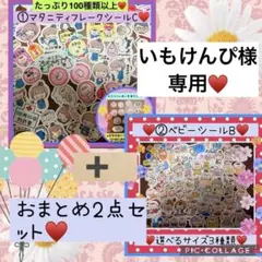 いもけんぴ様 リクエスト 2点 まとめ商品