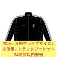 Item thumbnail for item 530d6151-5b11-4a84-a9fe-4d38b0ce8358