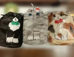 Item thumbnail for item 4cf176e2-5f69-42f1-b3ba-5c3f84b771bc