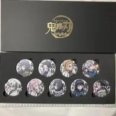 缶バッジセット　柱合会議、蝶屋敷編　☆ 鬼滅の刃