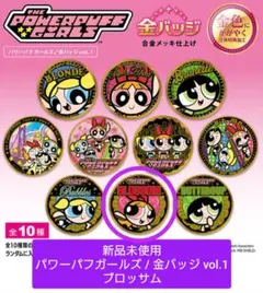 【新品未使用】ブロッサム / パワーパフガールズ : 金バッジ vol.1