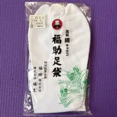 Item thumbnail for item e589ef42-91aa-4f38-88d1-99e2cc2e7130