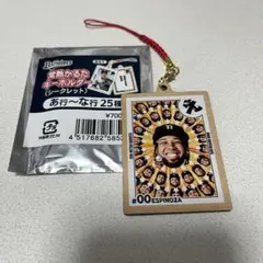 オリックス・バファローズ 常熱かるたキーホルダー エスピノーザ