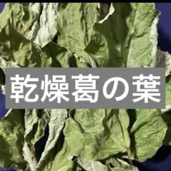 Item thumbnail for item 91d28be0-2adc-41aa-9cf9-e681505d0a52