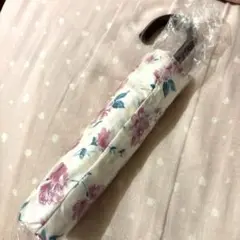 Item thumbnail for item e16b1647-ef77-4857-9497-6542094bc201