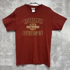 両面プリント　ハーレーダビットソン　Tシャツ　USA製 M