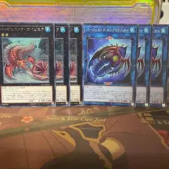 遊戯王　バージェストマ・オパビニア　カンブロラスター 各三枚