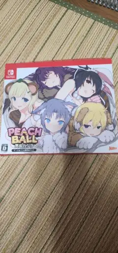 閃乱カグラ ピーチ&リフレ ＜限定Wパック＞ 新品ゲーム | ブック