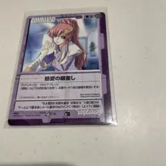 ガンダムウォー　カード 紫まとめ売り㉕ 780枚　R 慈愛の眼差しなど ガンダムウォー 慈愛の眼差し SR 紫 1枚 - メルカリ