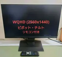 IODATA GigaCrysta EX-LDGCQ241DB WQHDモニター