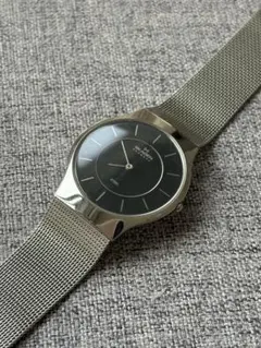 SKAGEN スカーゲン 腕時計 233LSSB
