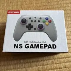 新品未使用 ECHTPower NS GAMEPAD ゲームパッド