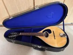 JUMBO 田原楽器　TAHARA　フラットマンドリン　弦楽器　ケースあり Jumbo フラットマンドリン 田原楽器