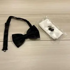 Item thumbnail for item f014b9db-d477-4c83-8db2-8f6449e1df04