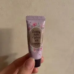 キャンメイク アイベース WP01