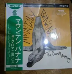 クロマニヨンズ/マウンテン バナナ メガジャケ付 新品アナログ•レコード盤 2025年最新】クロマニヨンズ マウンテンバナナの人気アイテム