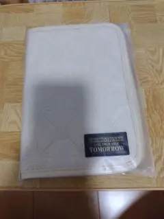 Item thumbnail for item e6d57849-07a4-4fd9-8737-d5a7b773f24b
