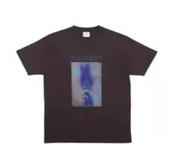 Item thumbnail for item 3e397ebb-7be7-47fe-8790-3759502d3c93