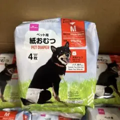 Item thumbnail for item ce7c3a37-9e0e-465f-8210-d895f53698c0