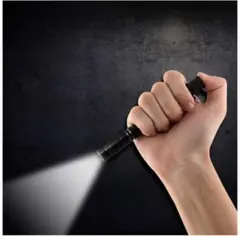 クーポンでお安く!!最安値!定価3000 円!LED ペンライト 新品未使用