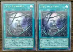 遊戯王 ブラック・ガーデン ウルトラ 2枚 アシストパック