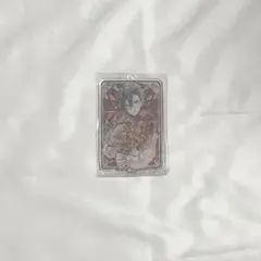 ハウレス　アクスタ