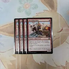 MTG 略奪するアオザメ 4枚