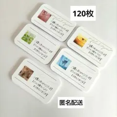 120枚 手書きサンキューカード サンクスカード ５色セット 匿名配送