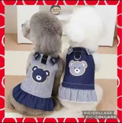 Item thumbnail for item 68bd0ced-c48e-4138-a034-063ec94cefa2