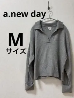a.new day グレー ポロネックニット　【Mサイズ】 シンプル　ショート丈