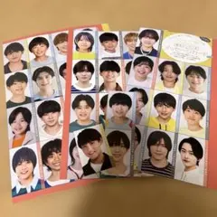 Myojo10月号ジュニアデータカードちっこい版 シートごと 【1部抜けあり】