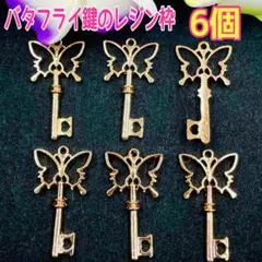 バタフライ鍵のレジン枠6個