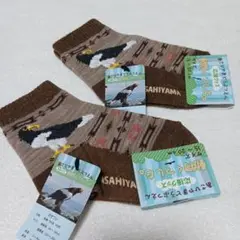 旭山動物園 応援グッズ 動物くつした オオワシ 15~20 2足