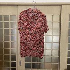 Item thumbnail for item 6e4313df-4c1e-4511-9783-9a6a7c848e38